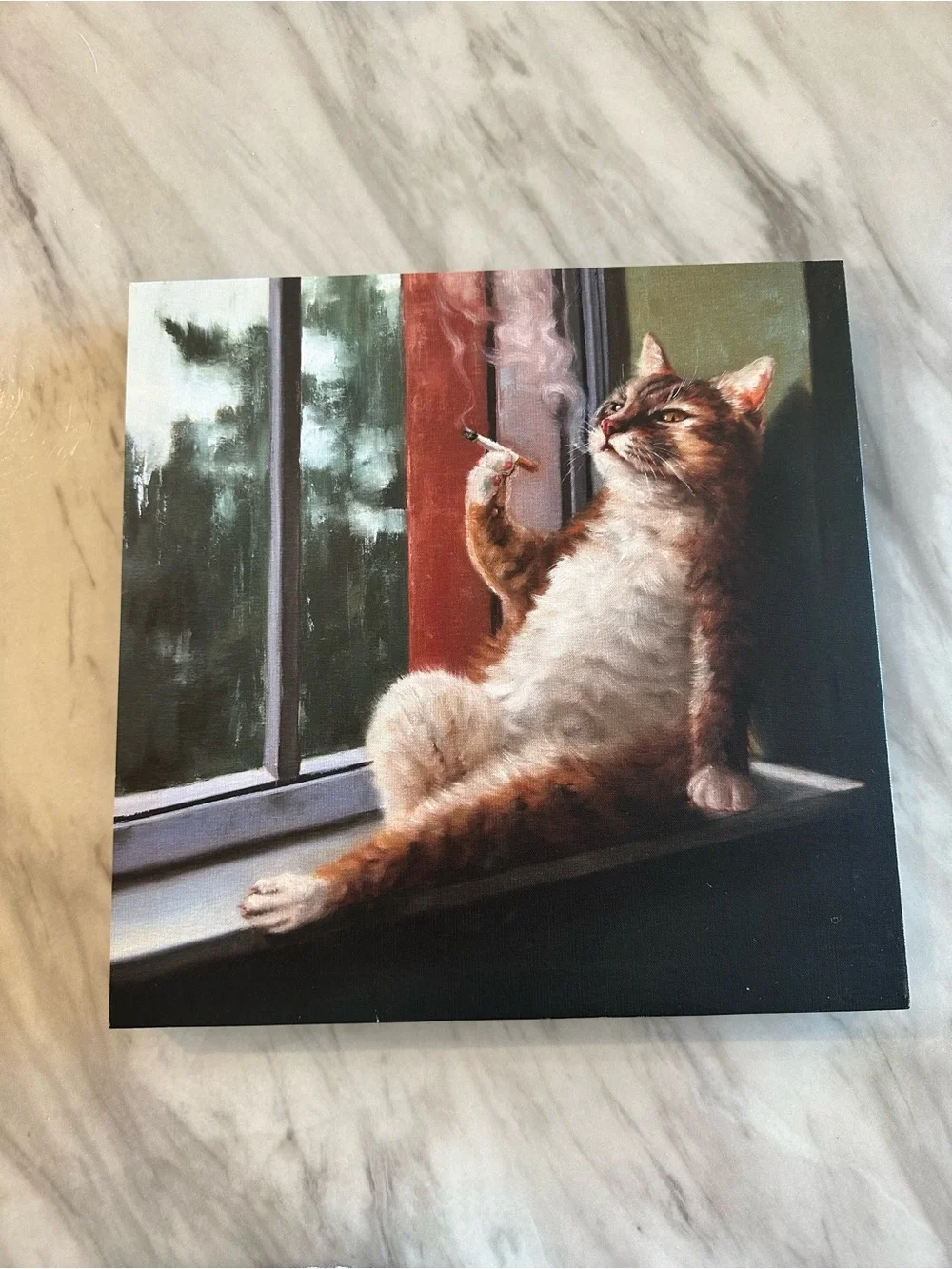 Relaxed Brown & White Cat Canvas Print – Whimsical Window Pose